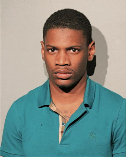 MICHAEL E WARFIELD, Cook County, Illinois