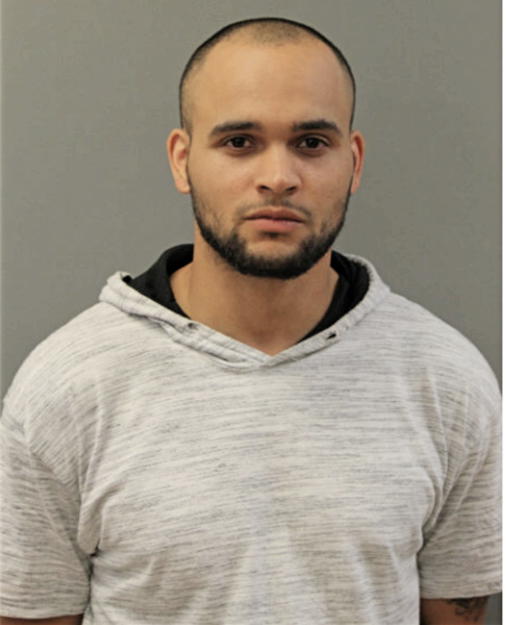 CHRISTOPHER L EMERY, Cook County, Illinois