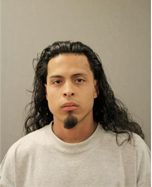 JAVIER GONZALEZ, Cook County, Illinois