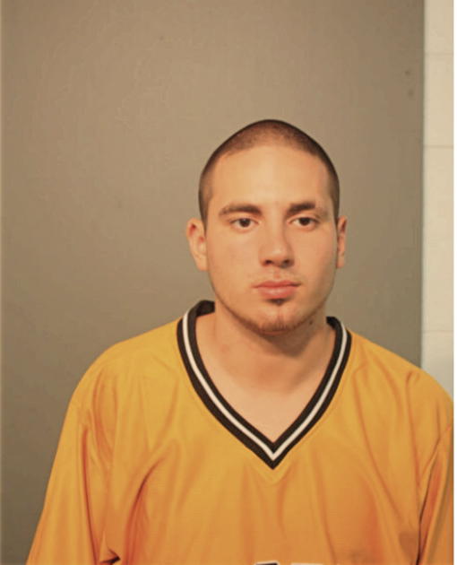 WALTER J GONZALEZ, Cook County, Illinois