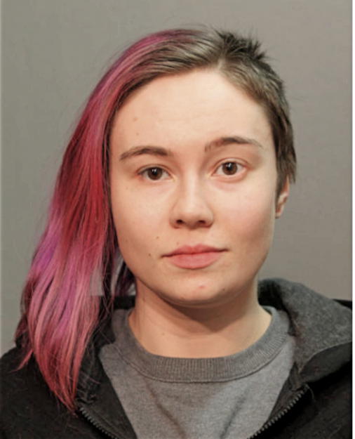 NATALIE A HEGLUND, Cook County, Illinois