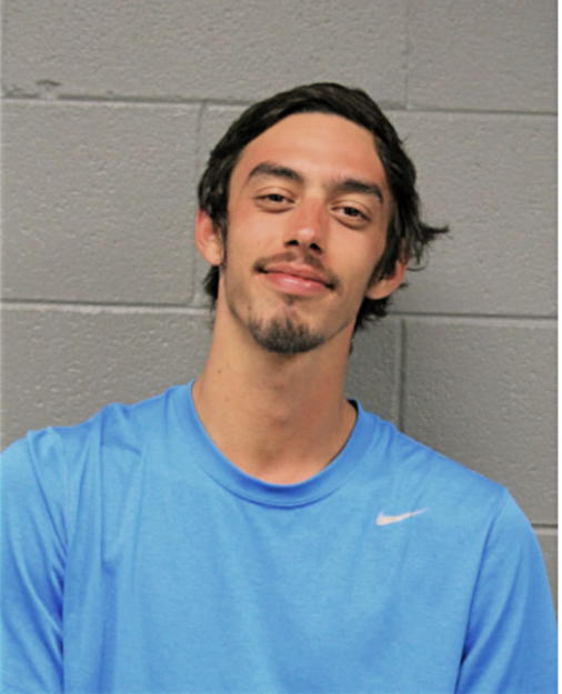 CURTIS HERNANDEZ, Cook County, Illinois