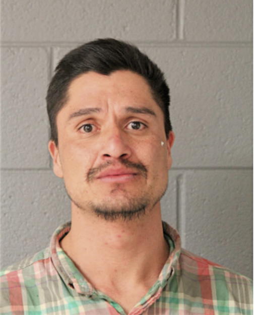 IVAN IBARRA, Cook County, Illinois