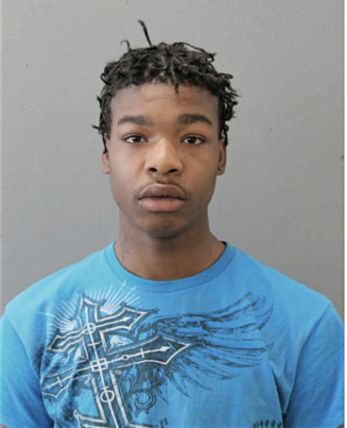 TONY M JOHNSON, Cook County, Illinois