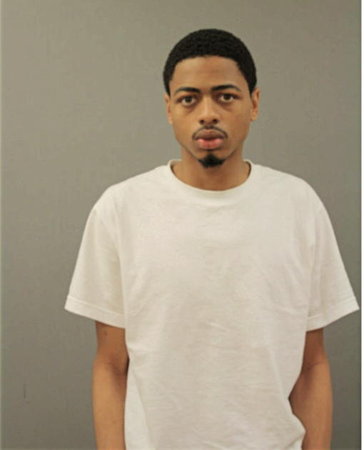 MICHAEL A LEWIS, Cook County, Illinois