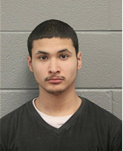 ADOLFO LOPEZ, Cook County, Illinois