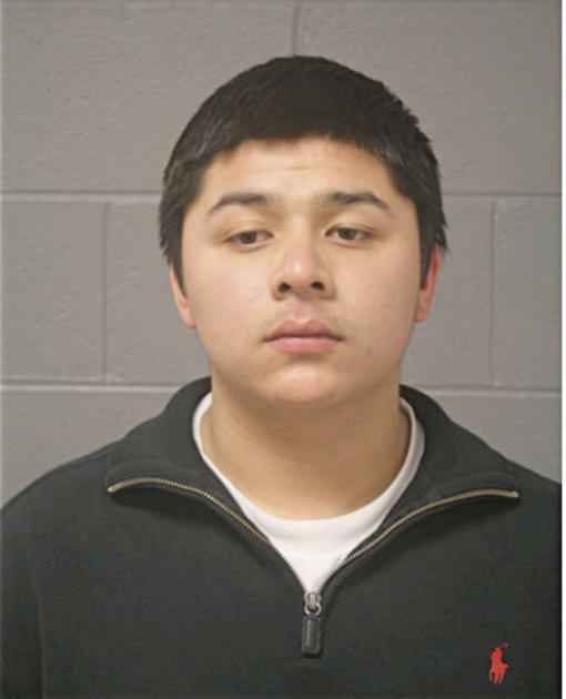 MARCO A MALACARA, Cook County, Illinois
