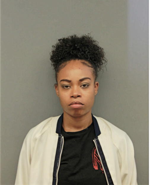 BRIANNE J MCKINLEY, Cook County, Illinois