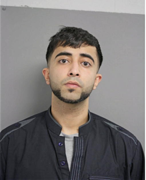 SARMAD MIAN, Cook County, Illinois