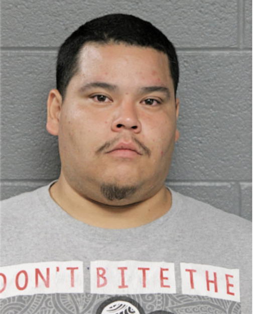 PEDRO LUIS MONTALVO, Cook County, Illinois