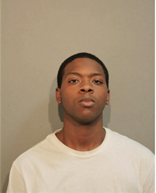 ROBERT L PALMER, Cook County, Illinois