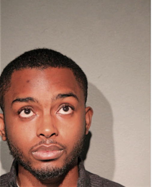 MICHAEL S RIVERS, Cook County, Illinois