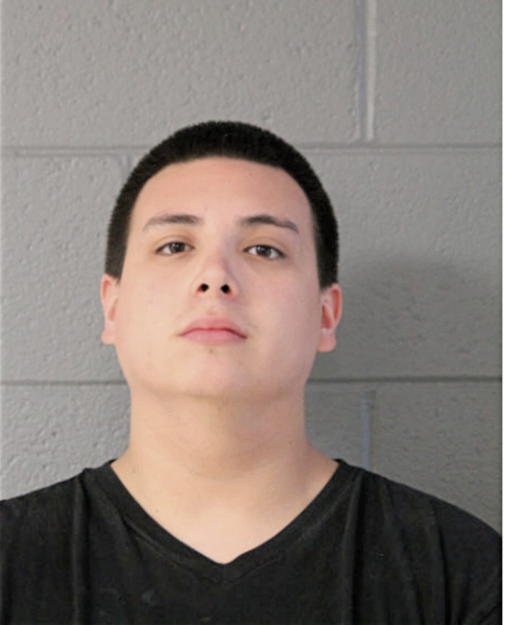 ALFONSO SANTANA, Cook County, Illinois