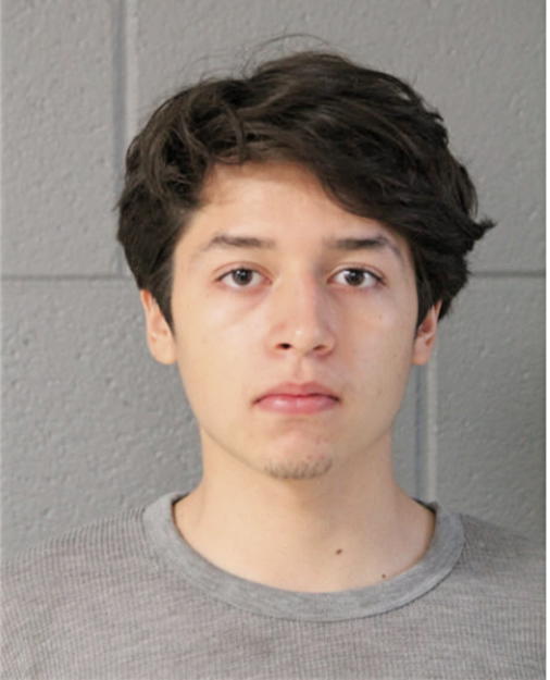 MANUEL G SERNA, Cook County, Illinois