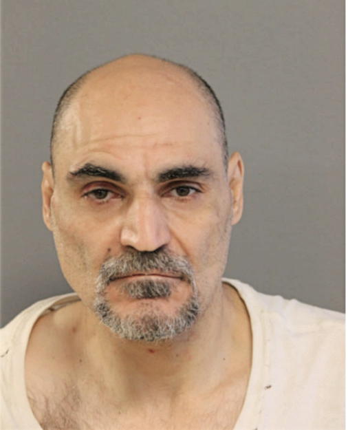 DOMINICK L SPATAFORA, Cook County, Illinois