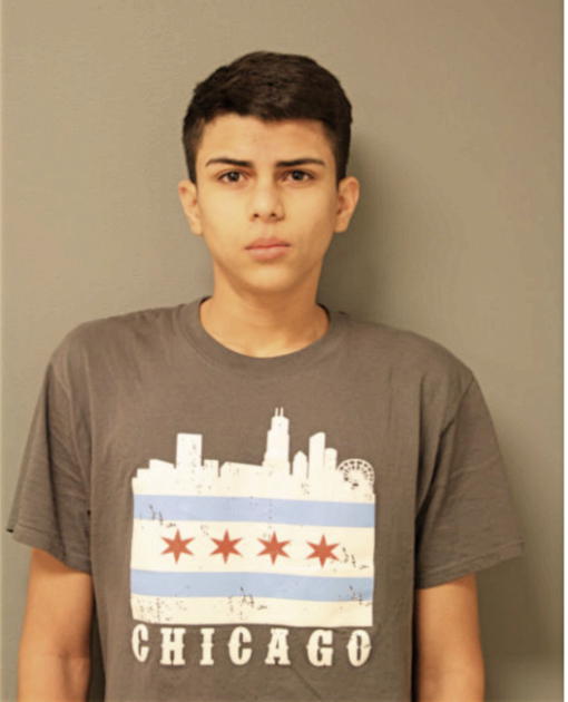 OMAR W SYOURI, Cook County, Illinois