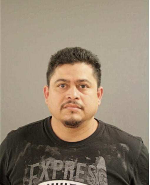 PAULINO R TINOCO, Cook County, Illinois