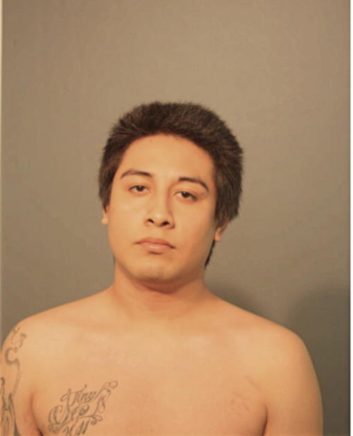 EDGAR VEGA, Cook County, Illinois