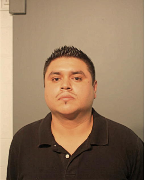 JOSE LUIS VIRGEN-MENDOZA, Cook County, Illinois