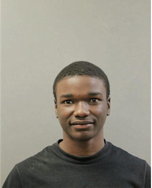 CHRISTIAN J WILLIAMS, Cook County, Illinois
