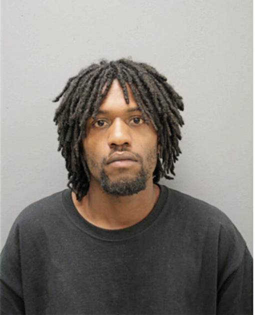 MICHEAL L WILLIAMS, Cook County, Illinois