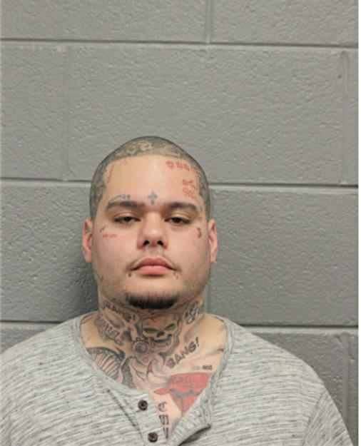 KEONI L ZUCCO, Cook County, Illinois