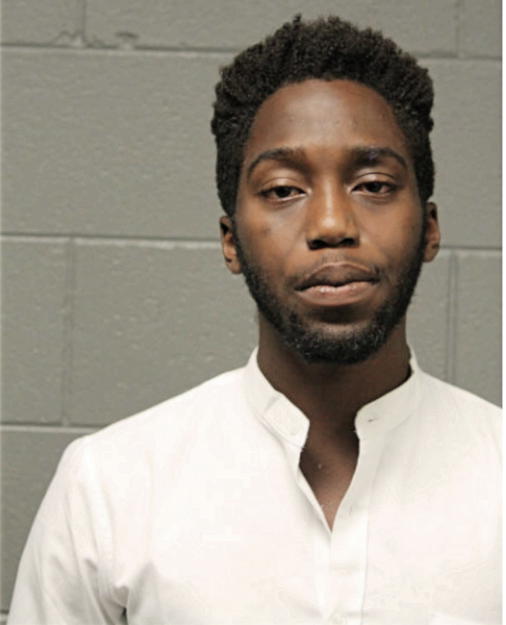 DANIEL E ADELEKE, Cook County, Illinois