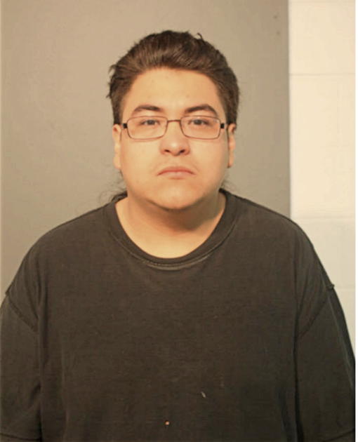 MARCO ALVARADO, Cook County, Illinois