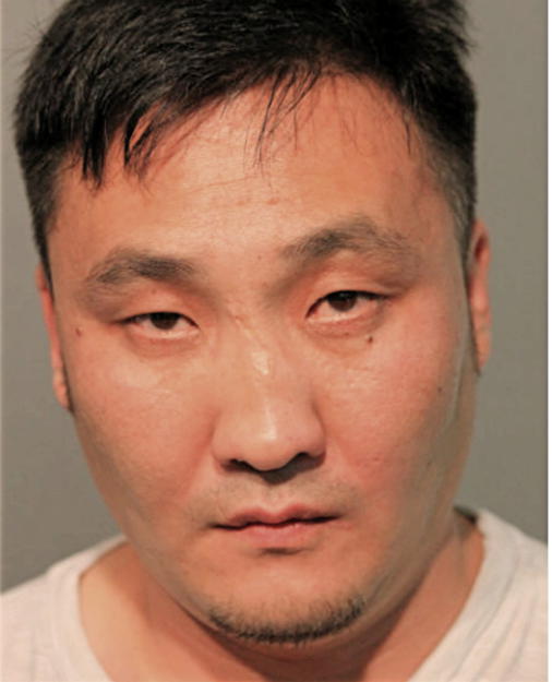 AZARKHAD BATDORJ, Cook County, Illinois