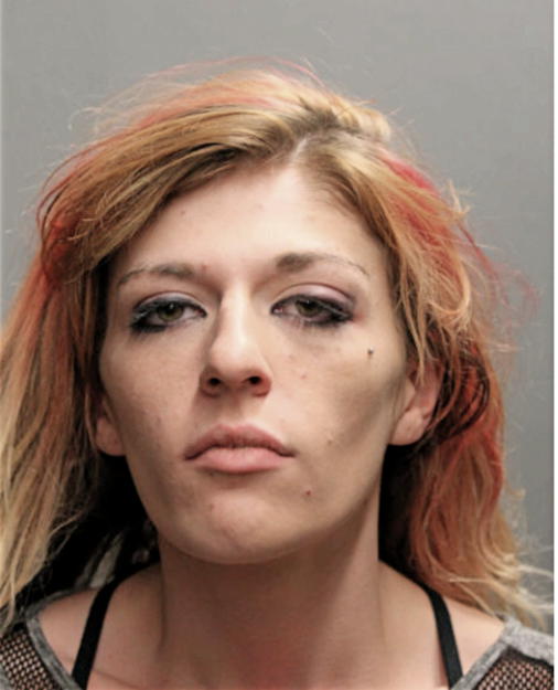 AMBER M BENKE, Cook County, Illinois