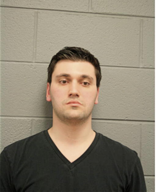 ARTHUR BERKOVICH, Cook County, Illinois
