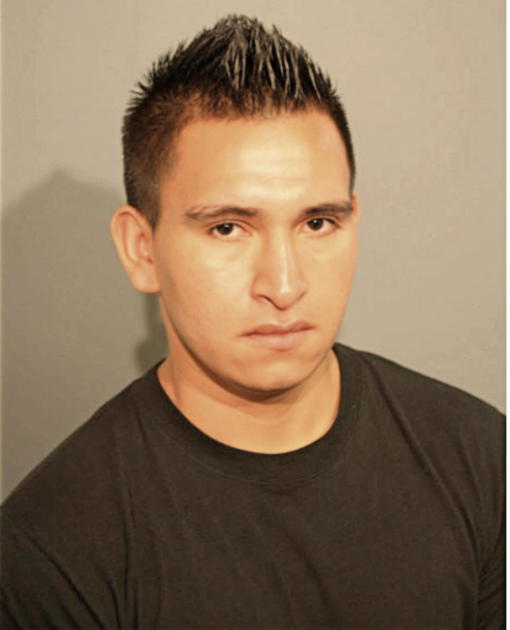 EVIS D DOMINGUEZ, Cook County, Illinois