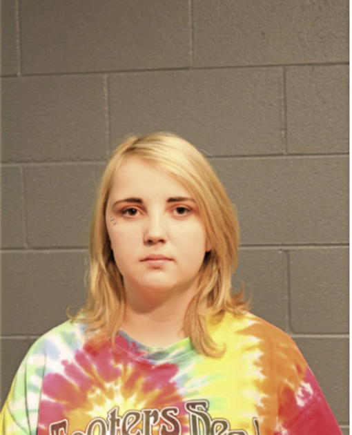 TAYLOR A DOWNS, Cook County, Illinois