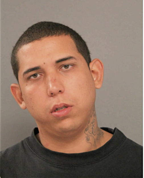 RODNEY F FERNANDEZ, Cook County, Illinois