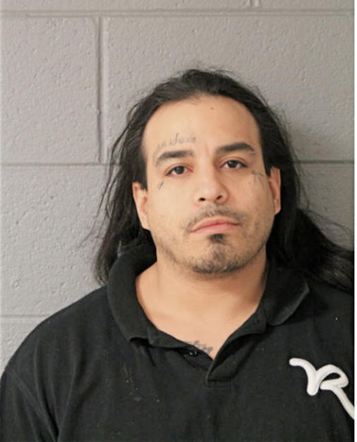ERNESTO FLORES, Cook County, Illinois