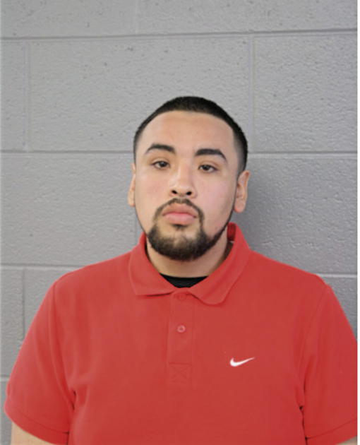 ROBERTO GARCIA, Cook County, Illinois