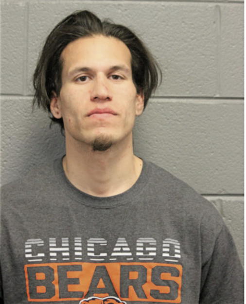 DAVID J GURNEAU, Cook County, Illinois