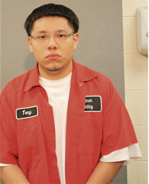 DANTONY HONORATO, Cook County, Illinois