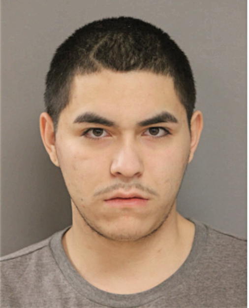 MICHAEL L MEDINA, Cook County, Illinois