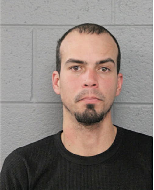 JOELVY MENDOZA, Cook County, Illinois
