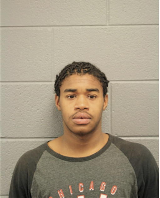ROBERT J MILLER, Cook County, Illinois