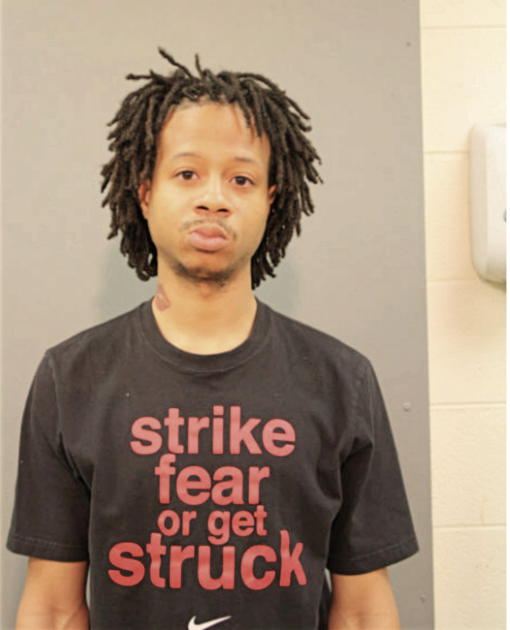 LARRY J MITCHELL, Cook County, Illinois