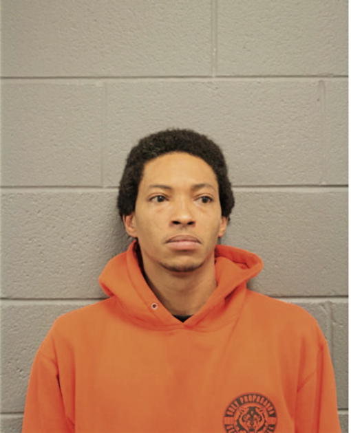 DONIELLE J OWENS, Cook County, Illinois
