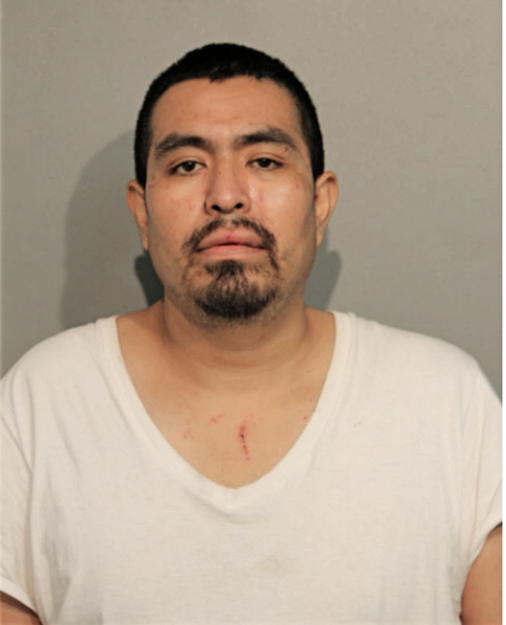 ABELARDO PINEDA, Cook County, Illinois