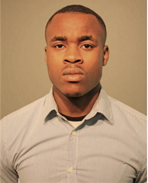 SULTAN O ANIFOWOSHE, Cook County, Illinois