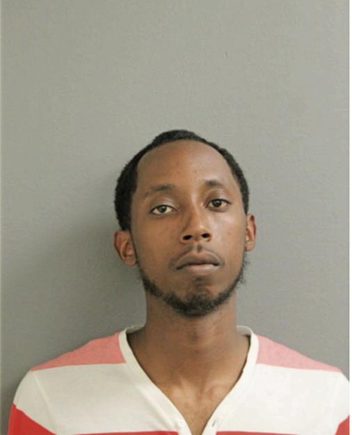 CHRISTOPHER P BROWN, Cook County, Illinois
