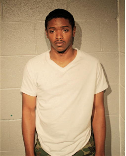 COREY L BROWNER, Cook County, Illinois