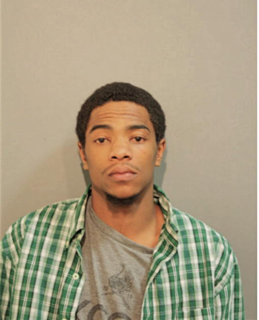 BRANDON J CAROTHERS, Cook County, Illinois
