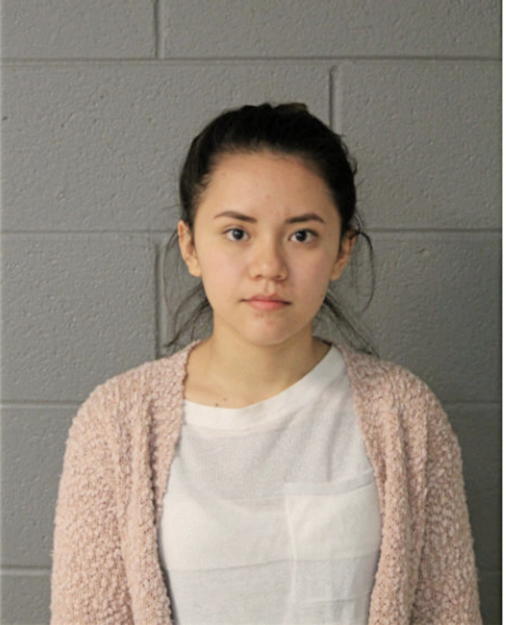 AYLIN MICHEL DEL REAL PALAFOX, Cook County, Illinois