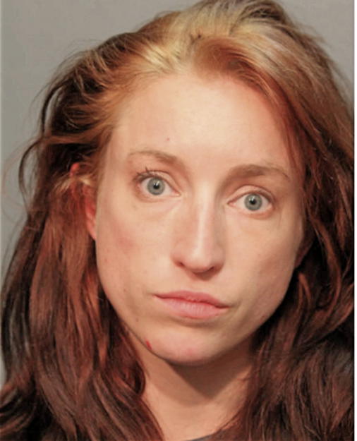 CHRISTINA F DULIK, Cook County, Illinois